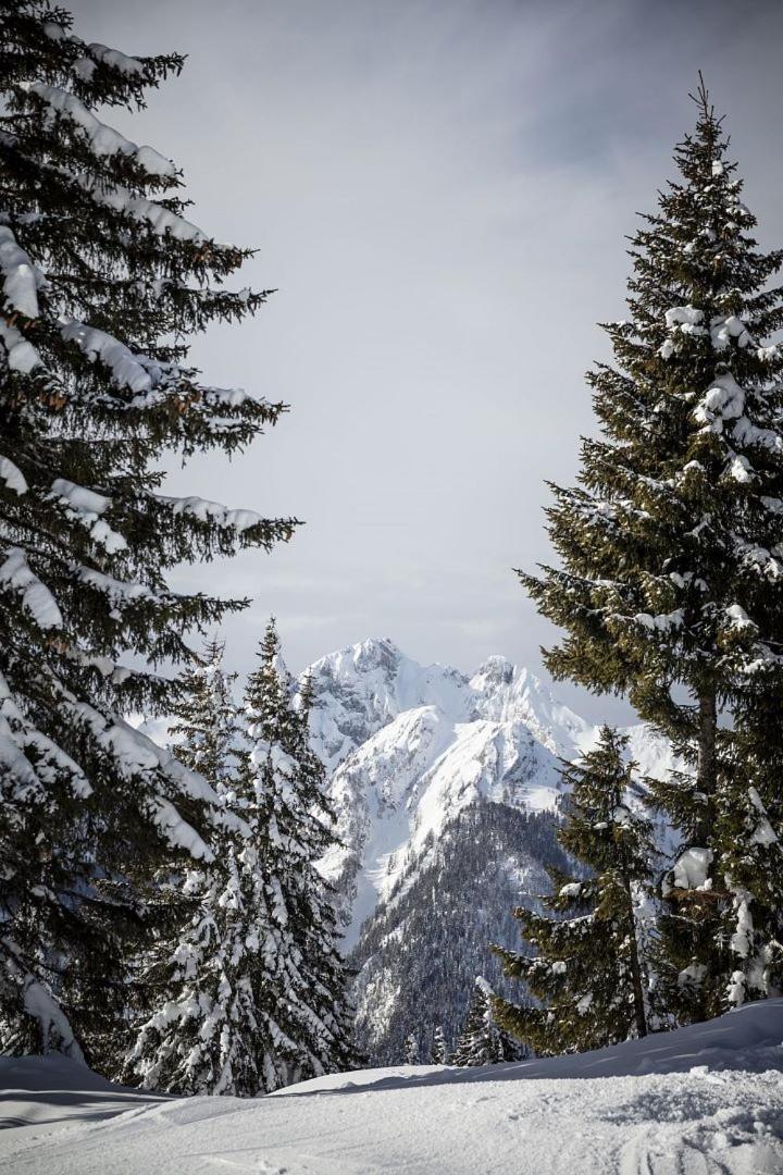 Zederberg Appartements Sankt Johann im Pongau Luaran gambar